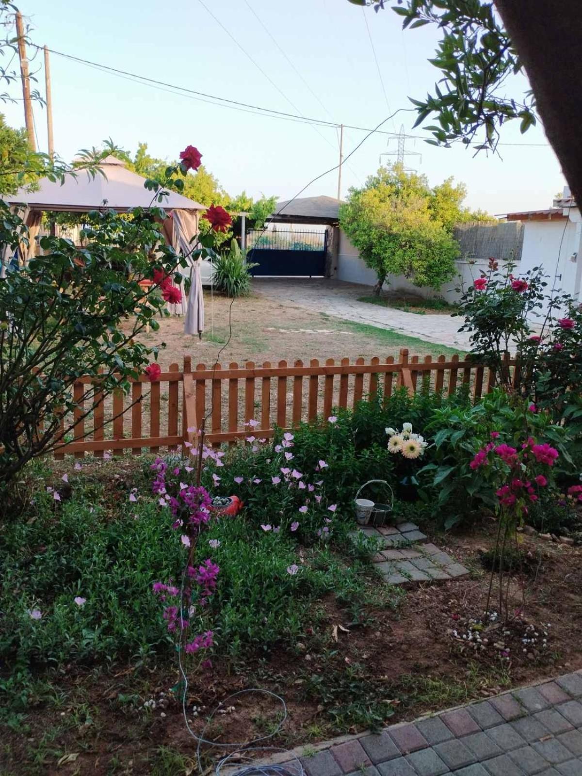 Ferienwohnung Floras House Nafplio Exterior foto